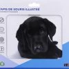 MOUSE PAD Τ'ΝΒ TBTSDOG DOG -Κατάστημα HP 510100002524